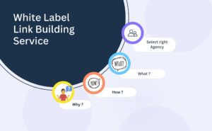 white label link building